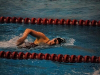 2014 Girls Varsity Swimming Preview