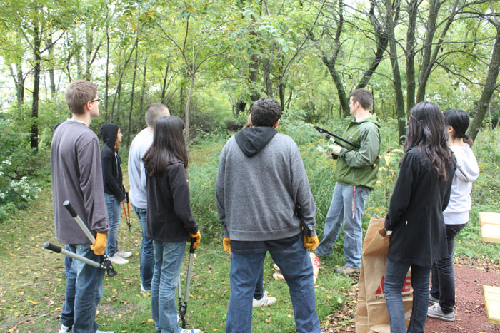 Club members work to remove invasive species in the prairie.