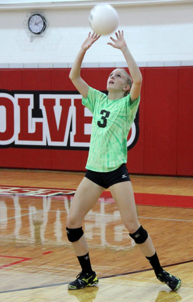 2012 Girls Volleyball Preview