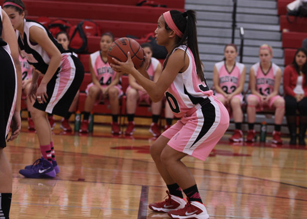 Lady Wolves Lose to Niles North