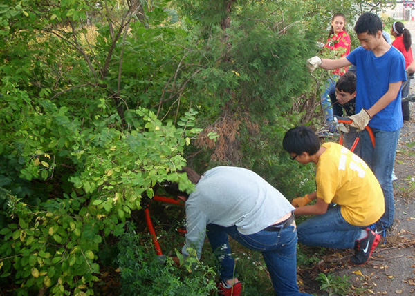 Environmental Service Day to Be Held on Saturday
