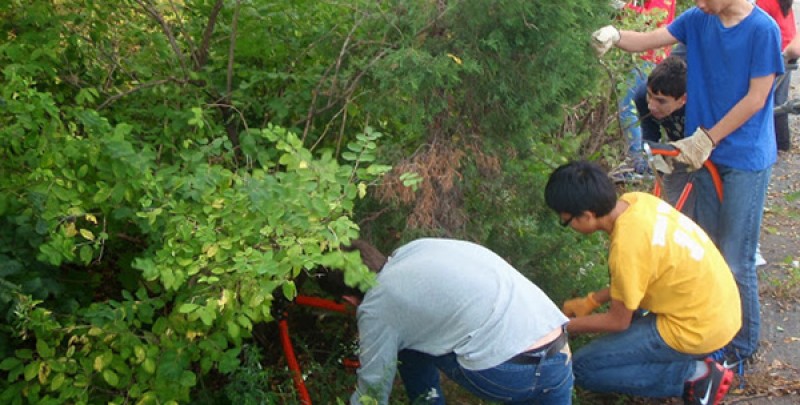 Environmental Service Day to be Held Saturday