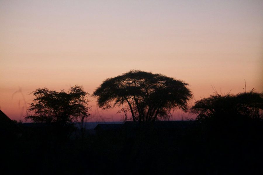 A classic sunset in Tanzania is full of vibrant pink and purple hues.