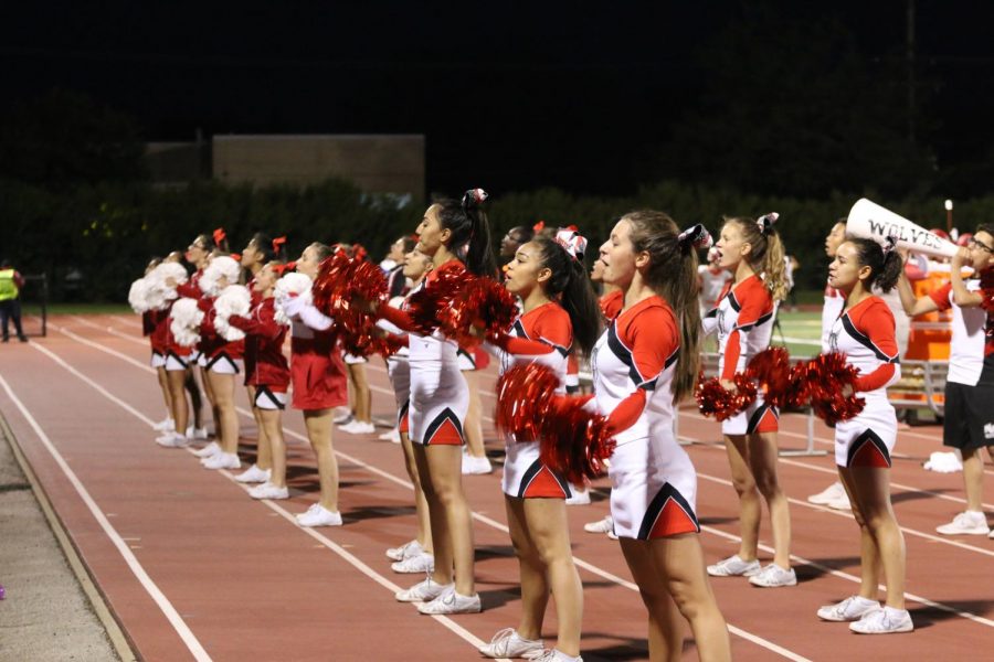 Niles West Varsity Cheer cheering on the boys and getting the fans fired up.