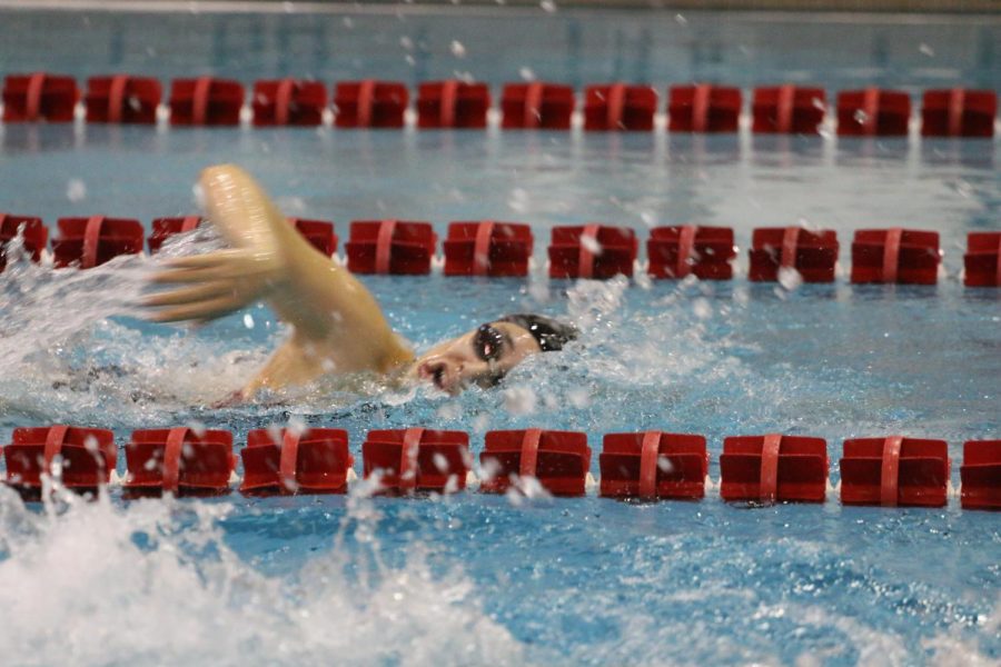 Senior Michelle Gonzalez swims the 400 free relay
