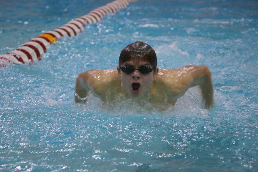 Sophomore Will Thannert swimming the 100 fly. 