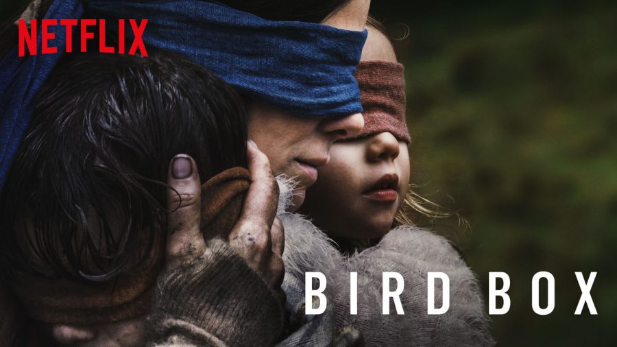 Open Your Eyes and Watch Bird Box