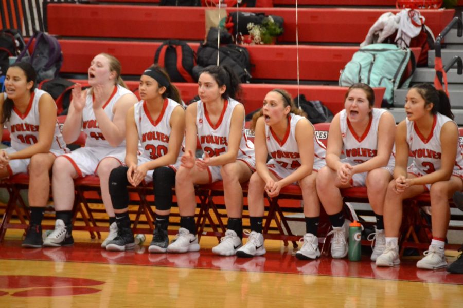 The girls varsity basketball team cheering on their teammates during the first half of the game on senior night.