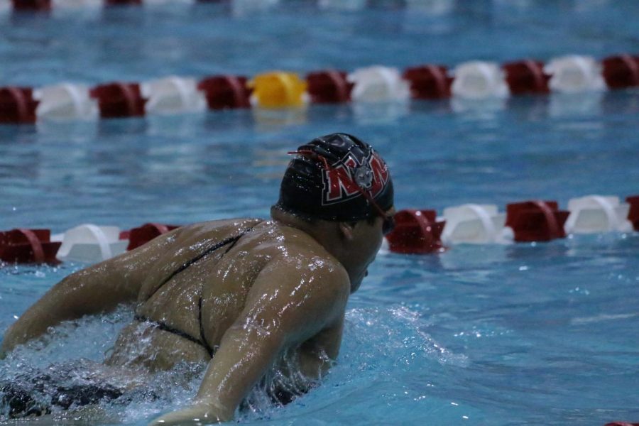 Sophomore Sarah Cachila swims butterfly.