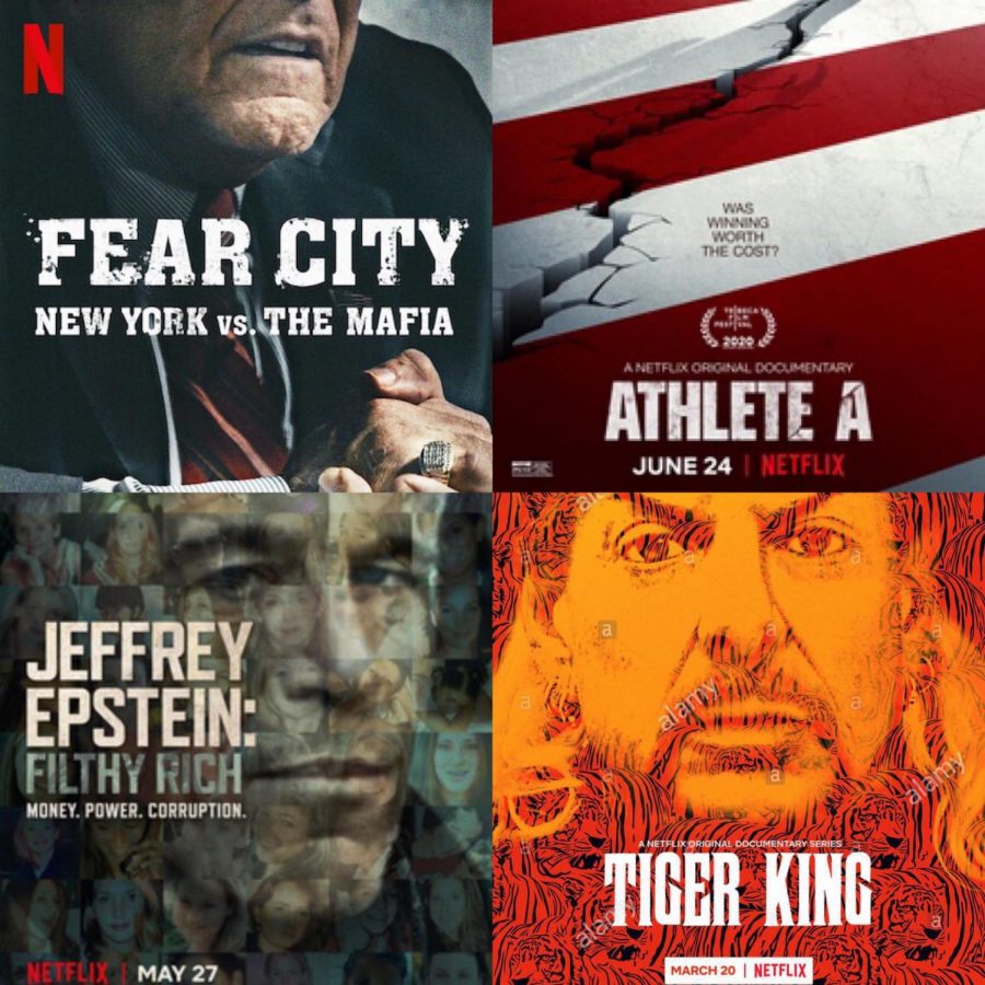 Top 5 Documentaries to Watch on Netflix Niles West News