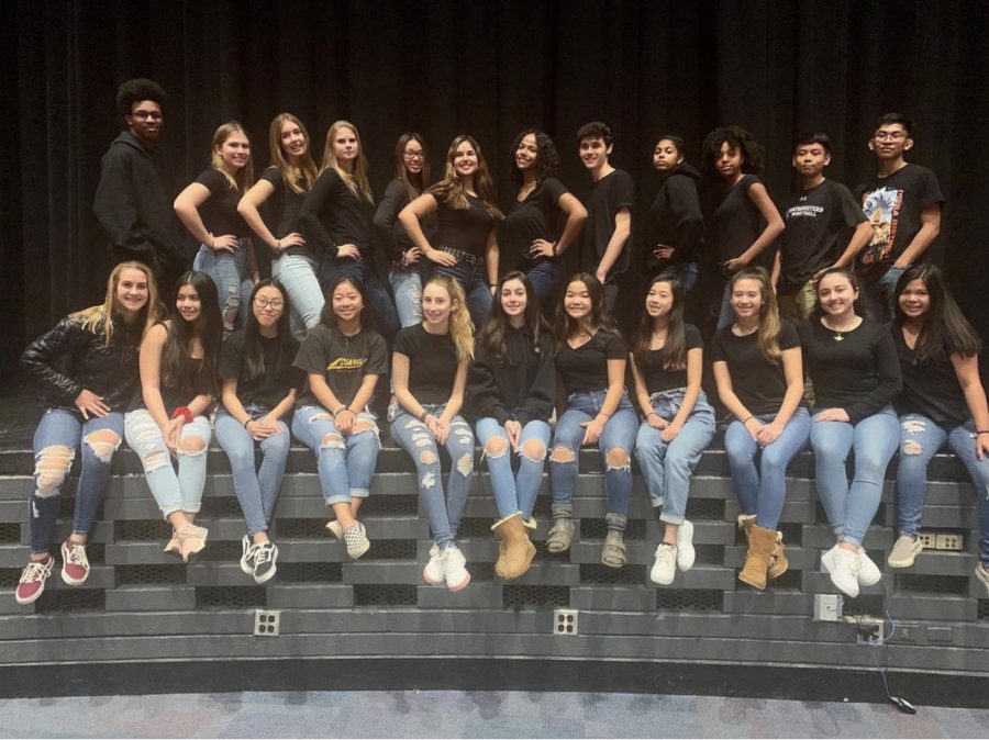 The 2019-20 Orchesis Team. Picture taken on Nov. 21, 2019 and can be found on their team Instagram page. 