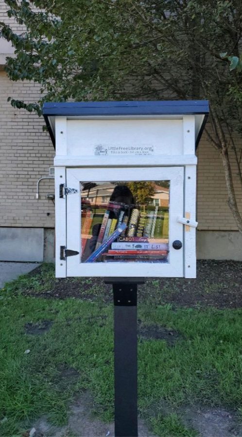The completed little free library located at the main entrance.