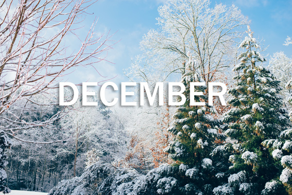 Whats Up, December?