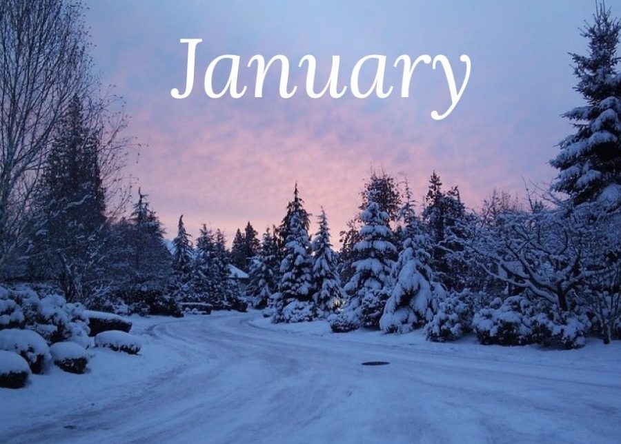 Whats Up, January?