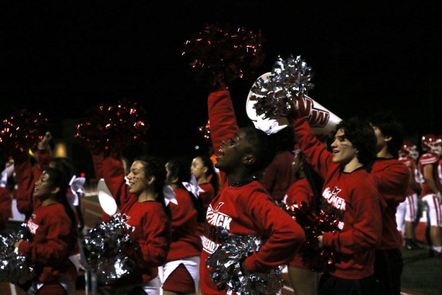 Cheerleaders passionately cheering on for their team.