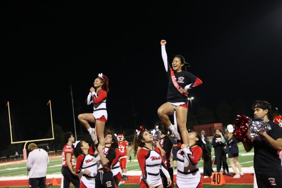 Cheer brings spirit to the game on the sidelines.
