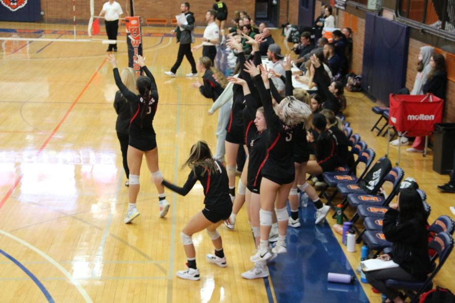 The volleyball girls cheer after the girls on the court get a block on Fremd.