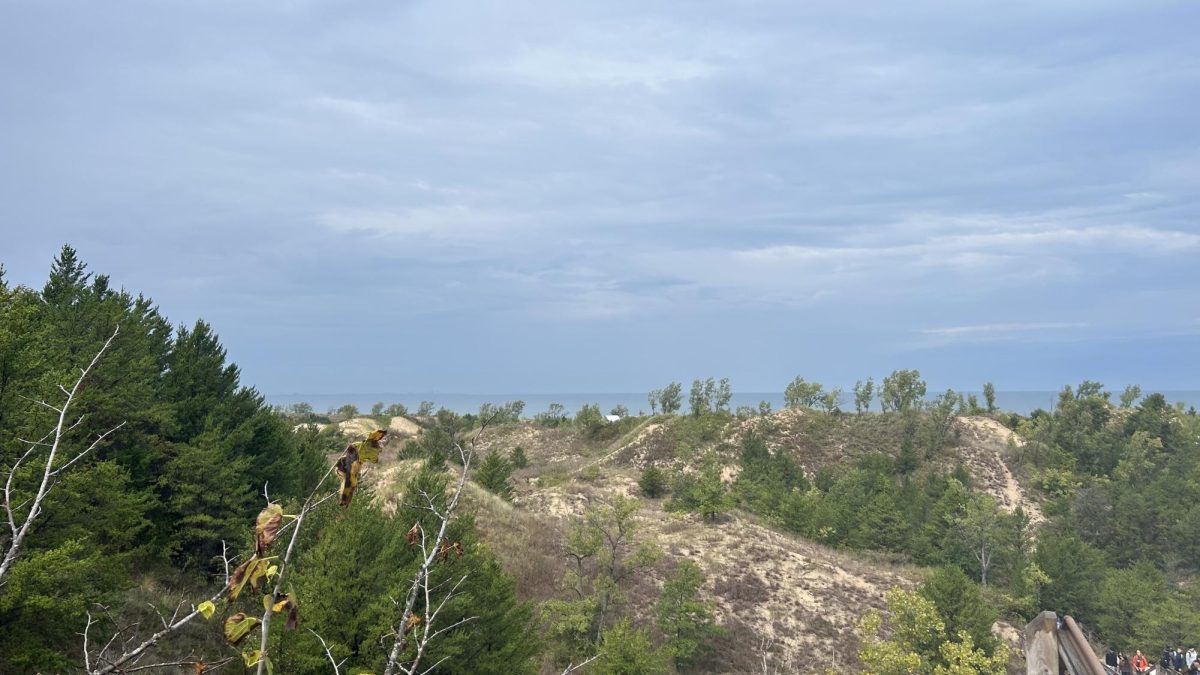 A view from the highest point of the Indiana Dunes Trail. 