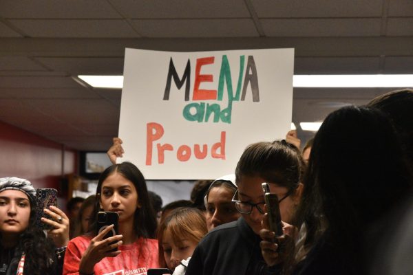 Navigation to Story: Illinois Adds MENA Category to State and School Surveys