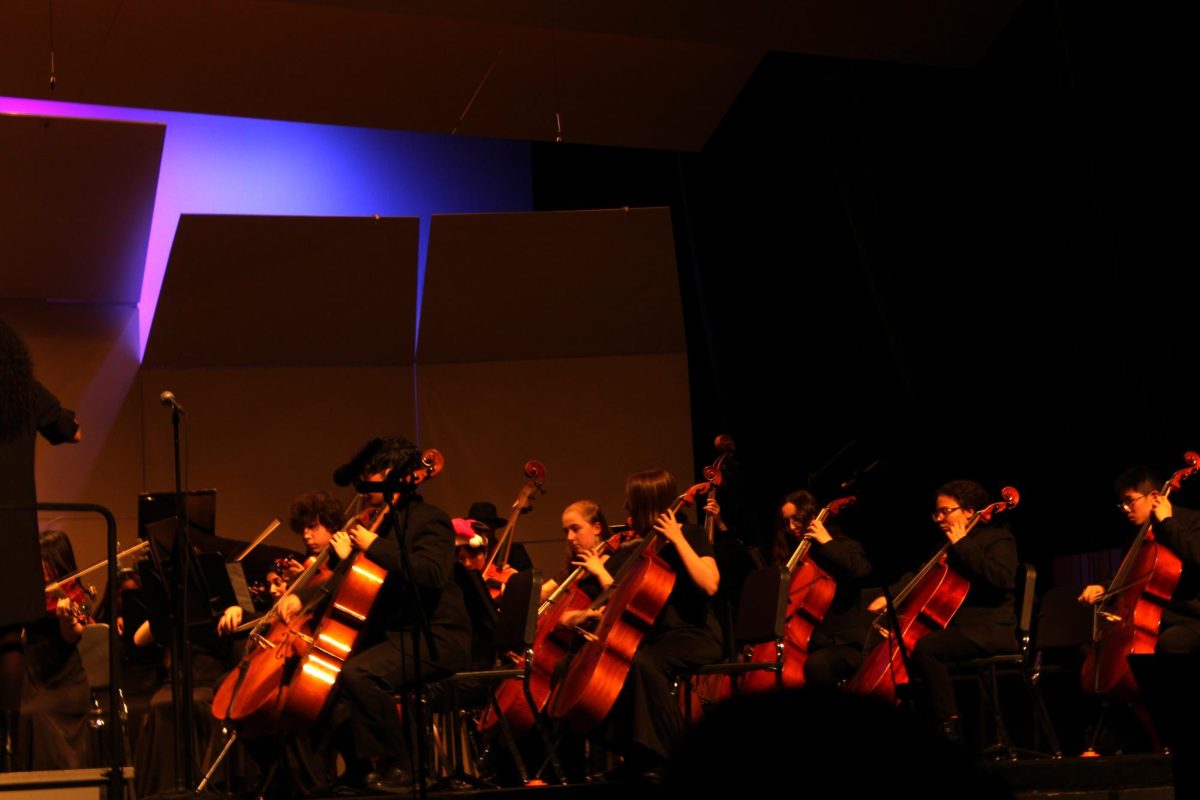 Cellists concentrate as Orchestra director Natalie Frakes guides them through the song at the winter concert.  