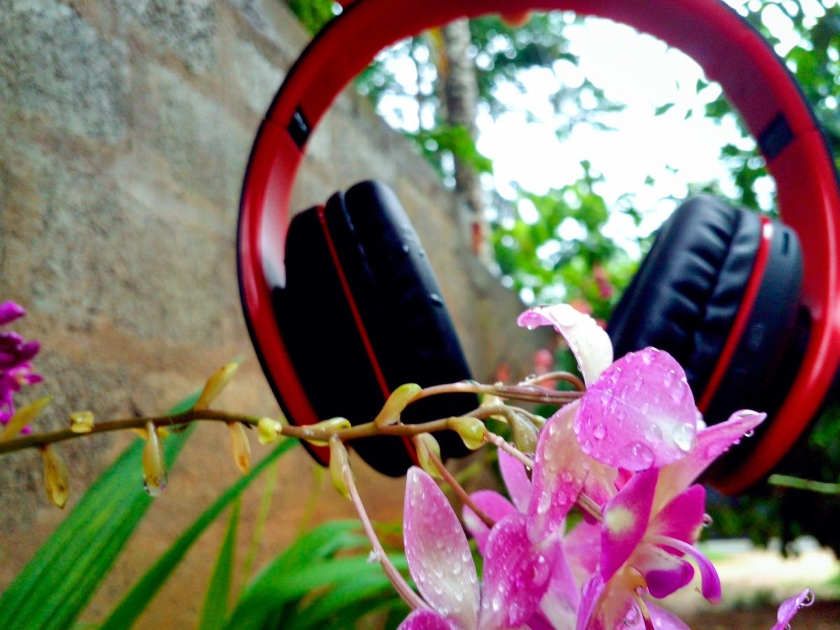 A pair of headphones next to a flower.