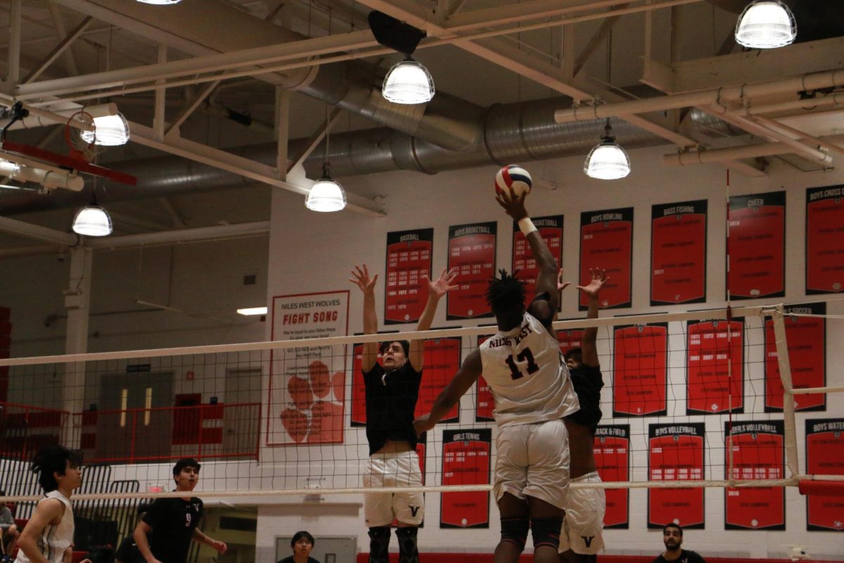 Scooter Arthur, senior, hits the ball through the block and earns a point for the Wolves.
