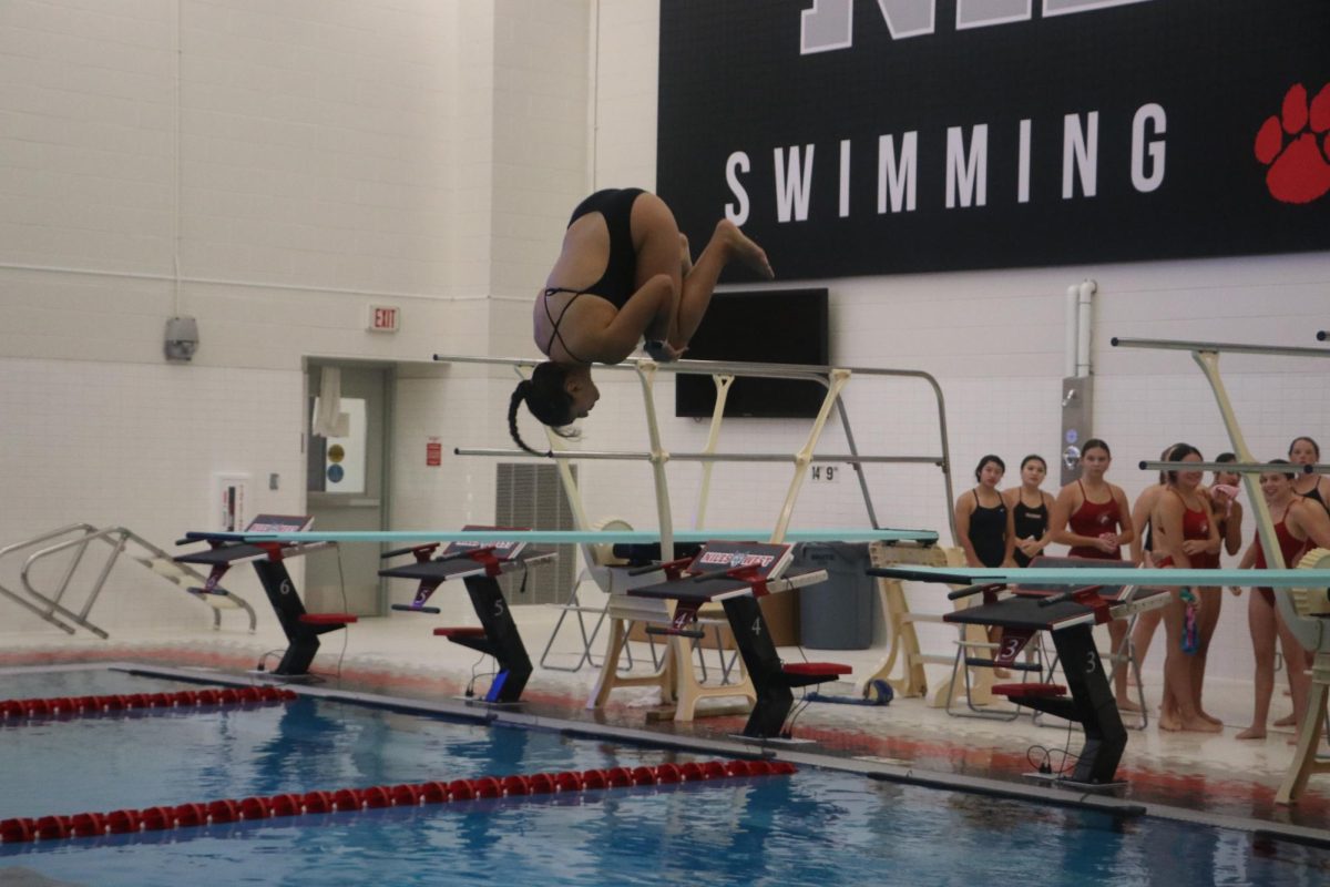 Alassdi does a flip off the board before landing in the water.