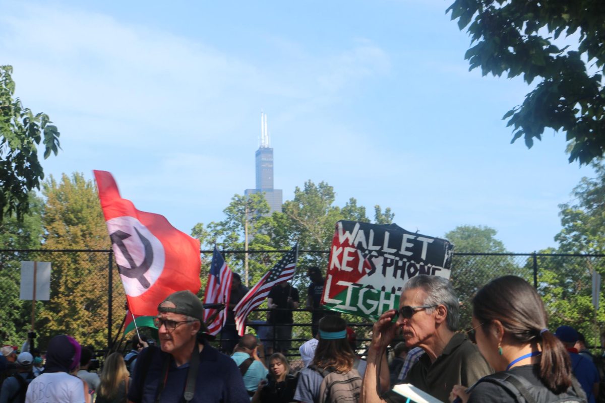 A collection of protesters centered in the park. They each hold something representing their beliefs, such as a communist flag, an American flag, and a pro-Palestine sign. The Willis Tower appears in the background.