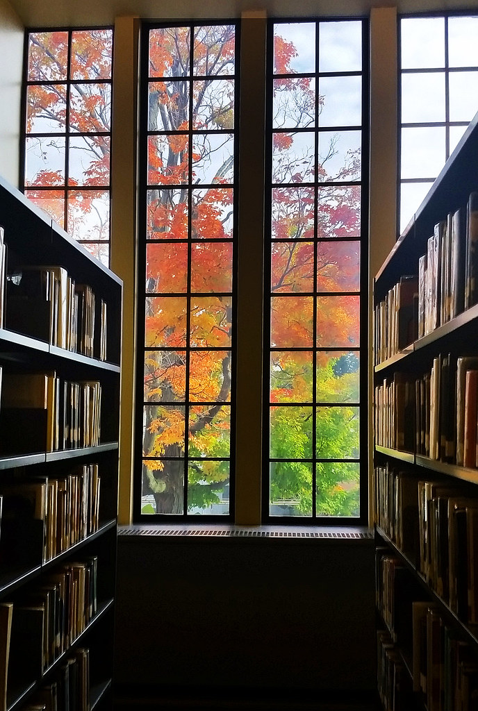 An autumn library.