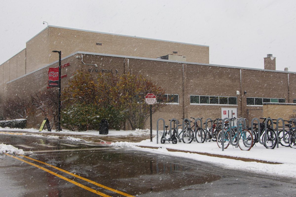 Snows falls for the first time this fall outside of Niles West High School. 