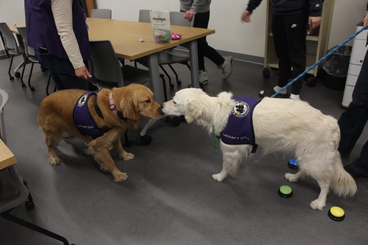 From left, best friends Dolly and Suki reunite with a kiss after a period of socializing with students.