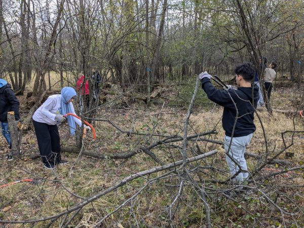 Students from Honors Biology cut down the invasive species. 