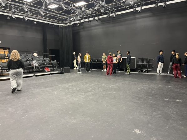 A public speaking class, theater workshop, does a group activity.
