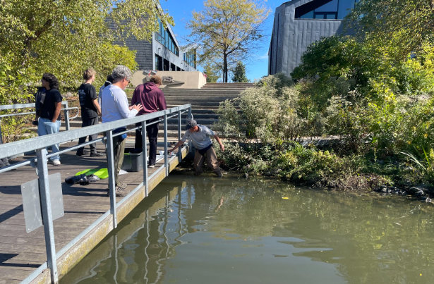 APES teacher Chris Barnett enters the water to collect samples for students. 