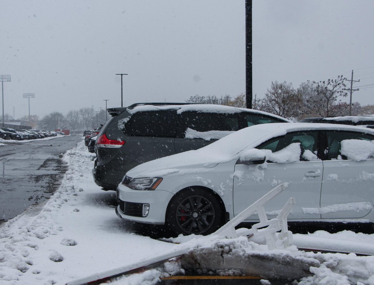 A student's car was stolen from the student lot on Oakton at around 12:45 p.m. on Nov. 17.