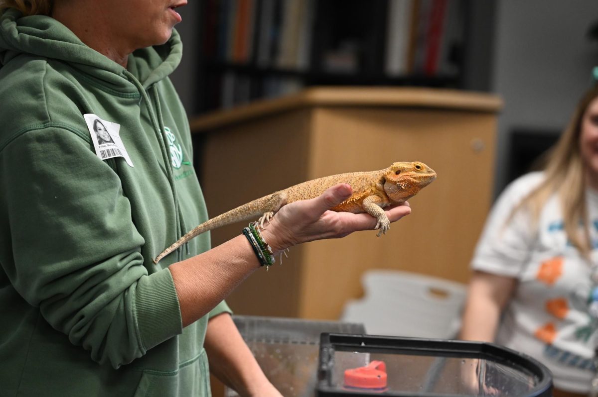 The Frog Lady shows her bearded dragon to students in the library.
