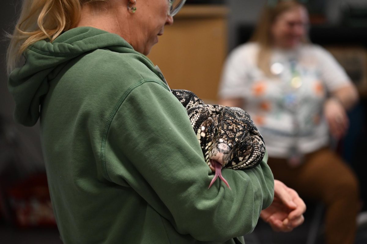 The Frog Lady holds her Argentinian black and white tegu.