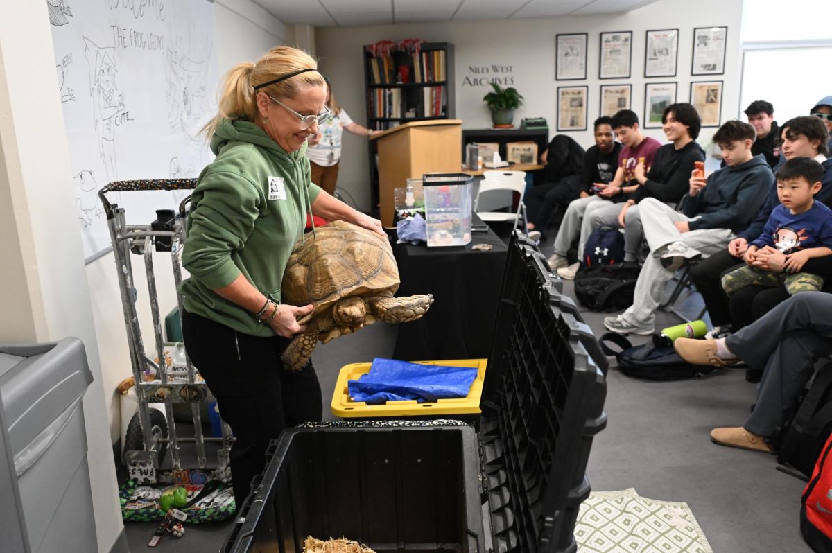 Students visit the library during their study halls to learn about reptiles and amphibians. Deb Krohn, also known as The Frog Lady, showed student an African Spurred Tortoise. 