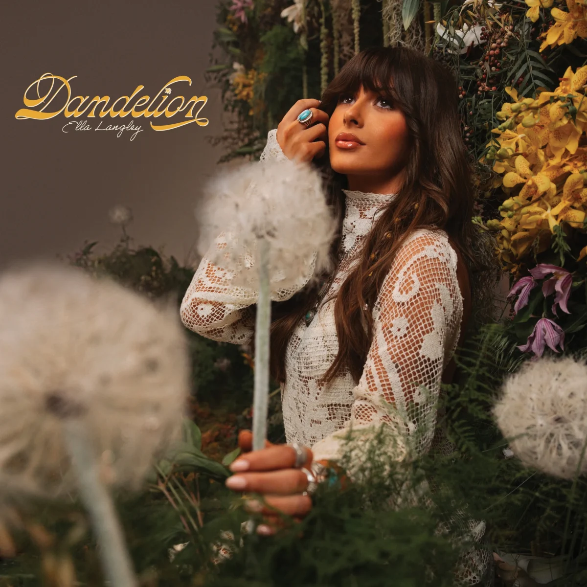 The "Dandelion" album cover by Ella Langley via MusicRow.com.